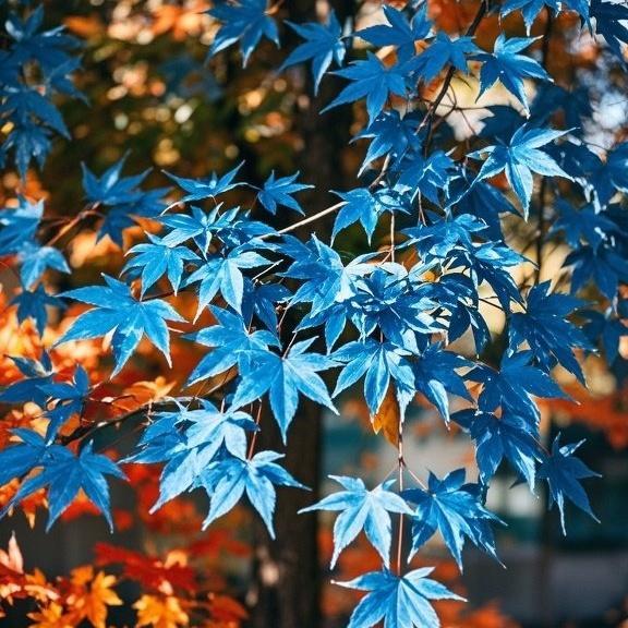 10 Pcs Blue Maple Tree Seeds – Rare Ornamental Shade Tree with Unique Cool-Toned Foliage, Easy to Grow, Perfect for Gardens, Yards & Stunning Landscape Displays
